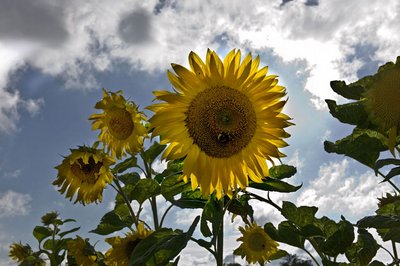 Zeit für Entwicklung.  Zeit für Entwicklung.