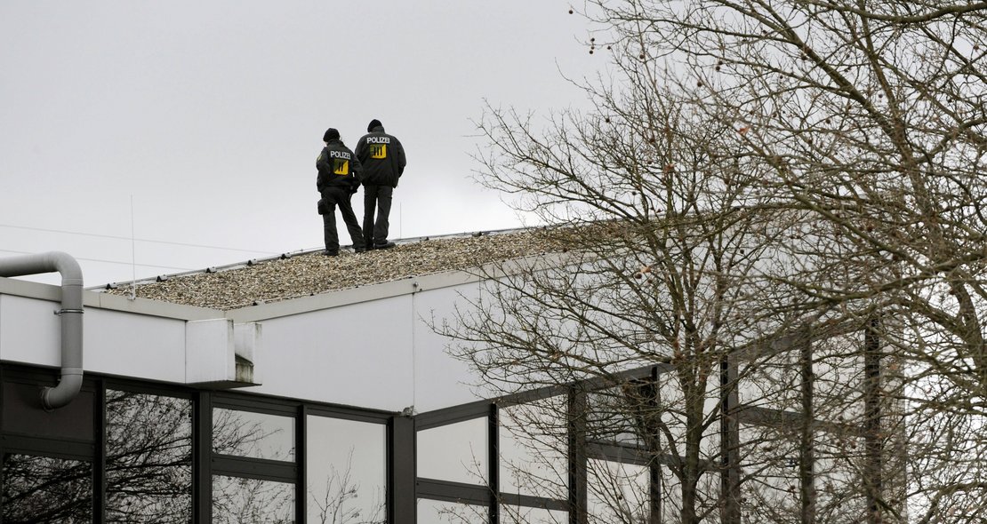 Früher Vollblutbulle