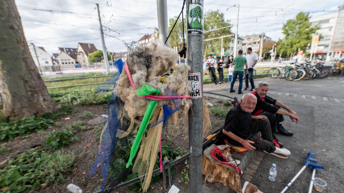 Auf dem Wilhelmsplatz wuchsen Pflanzen in Wollknäueln, inzwischen sind sie verdorrt.