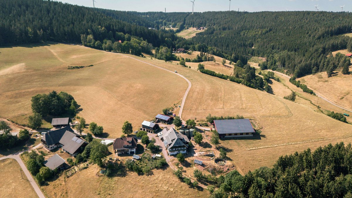 Zum Mooshof (Bildmitte) gehören 20 Hektar Grünland und 30 Hektar Wald, mitten im Schwarzwald gelegen.