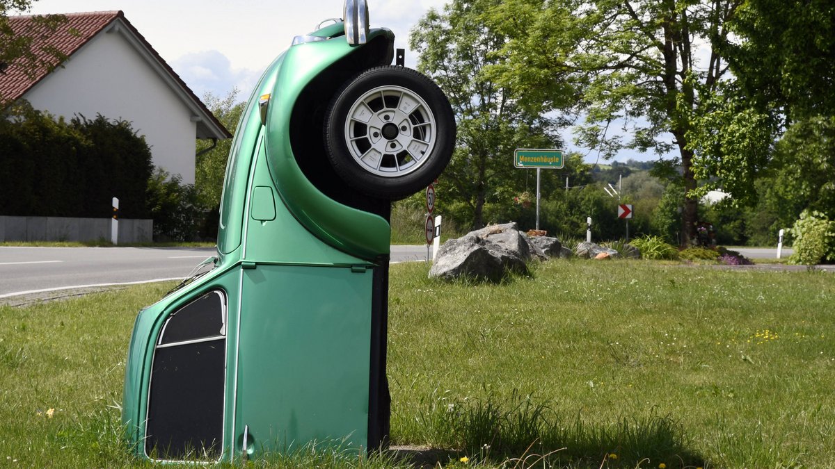 Torso bei Mochenwangen, Käferkunst von Ahmet Yardimci.