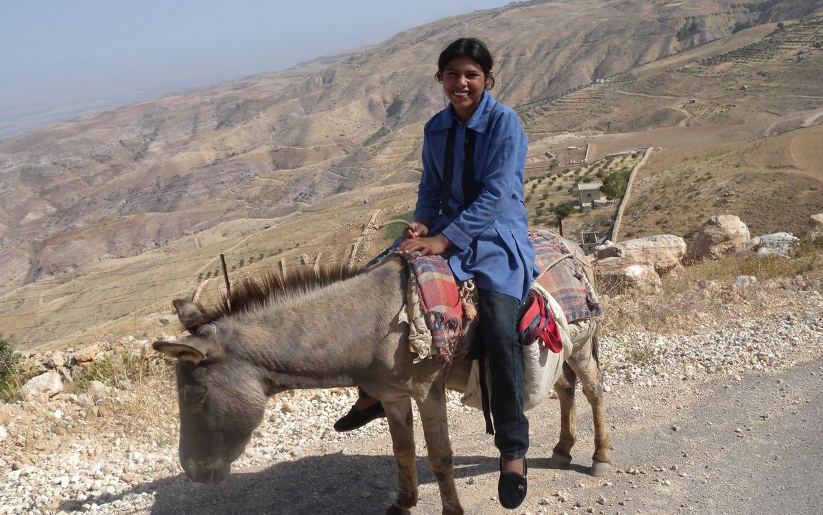 Ekhlas Schulweg führt auf einem Esel durch die jordanischen Berge, nahe der syrischen Grenze. Viele Kinder mit Fluchterfahrung werden an ihrer Schule unterrichtet. Den Krieg findet die Zwölfjährige schrecklich. 