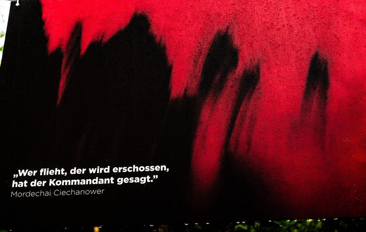 Die Bedrohung, das Leiden, der Tod waren allgegenwärtig.