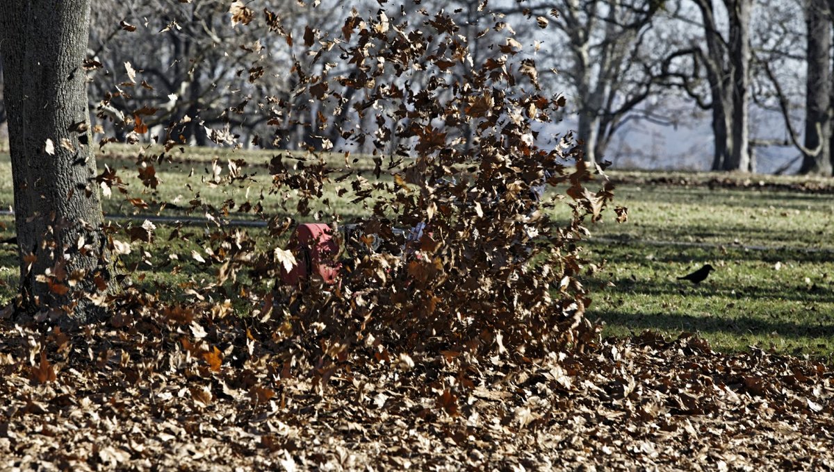 Das Jahr 2020 hat alles durcheinandergewirbelt. Den Indian Summer etwa bläst's bis in den Dezember. Fotos: Joachim E. Röttgers