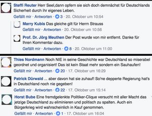 Meuthen moderiert – Kommentare wie unten bleiben so stehen. Foto: Screenshot