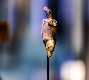 Millionen Jahre alt, aber irgendwie unspektakulär ... 