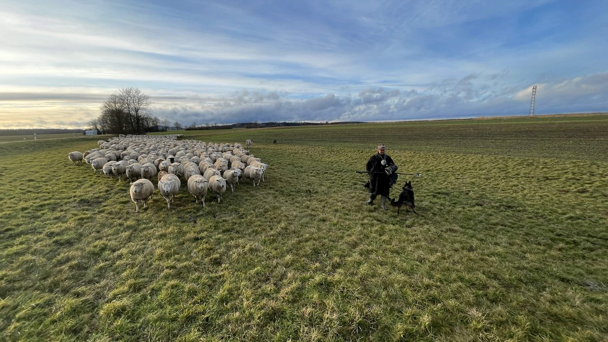 Die Staffel "Der Hirte" dreht sich um den Schäfer Jonas Henniger. Foto: Uwe Kassai