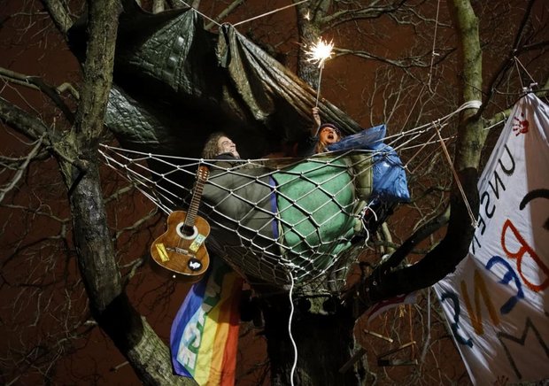 Baumbesetzung mit Gitarre. Foto: Joachim E. Röttgers