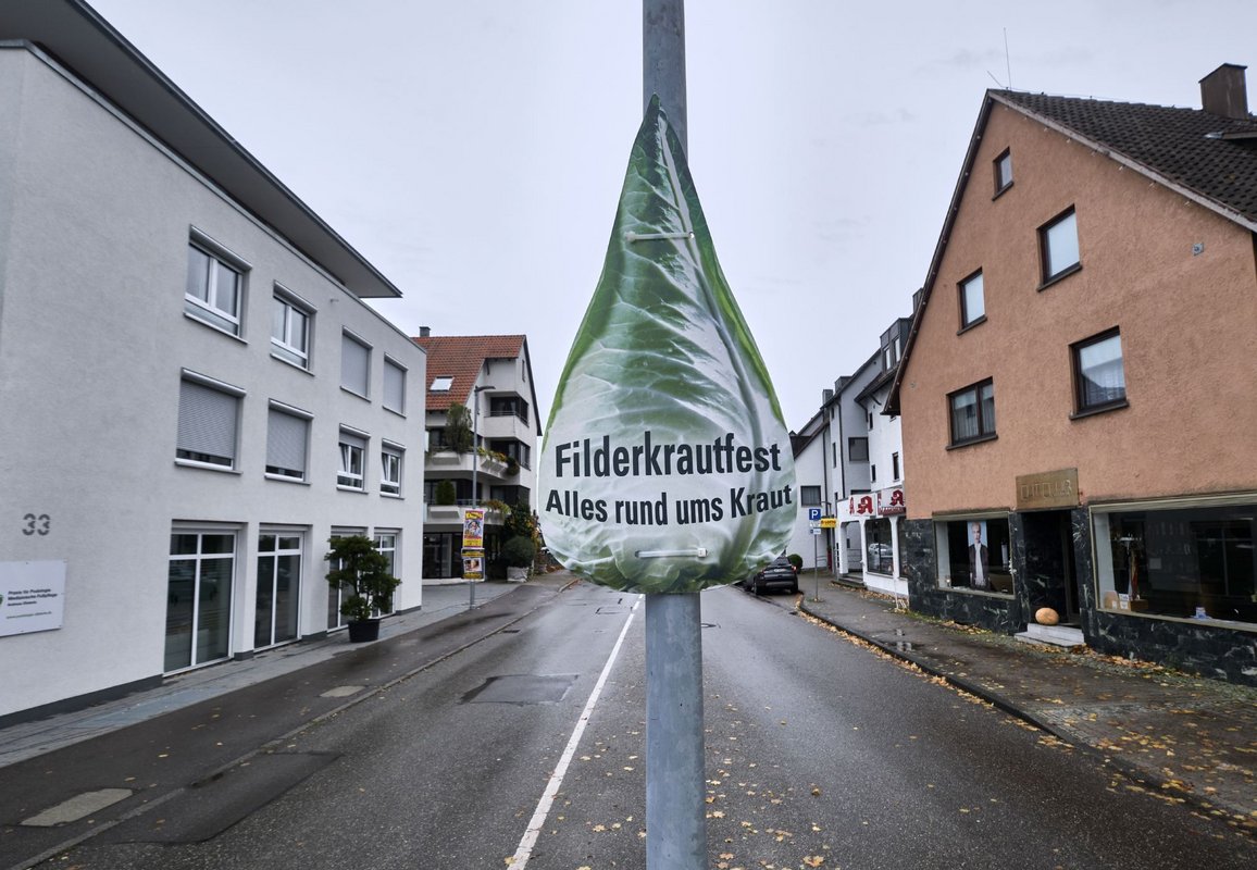 Kohl auf weiter Flur. 