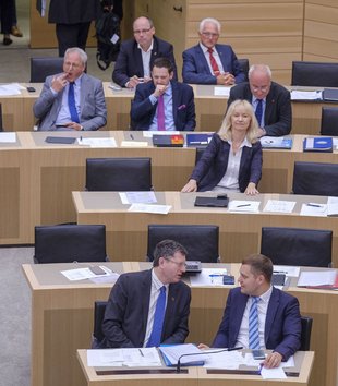 Vorlaut wie orientierungslose Halbstarke: AfD-Fraktion im baden-württembergischen Landtag. Fotos: Joachim E. Röttgers