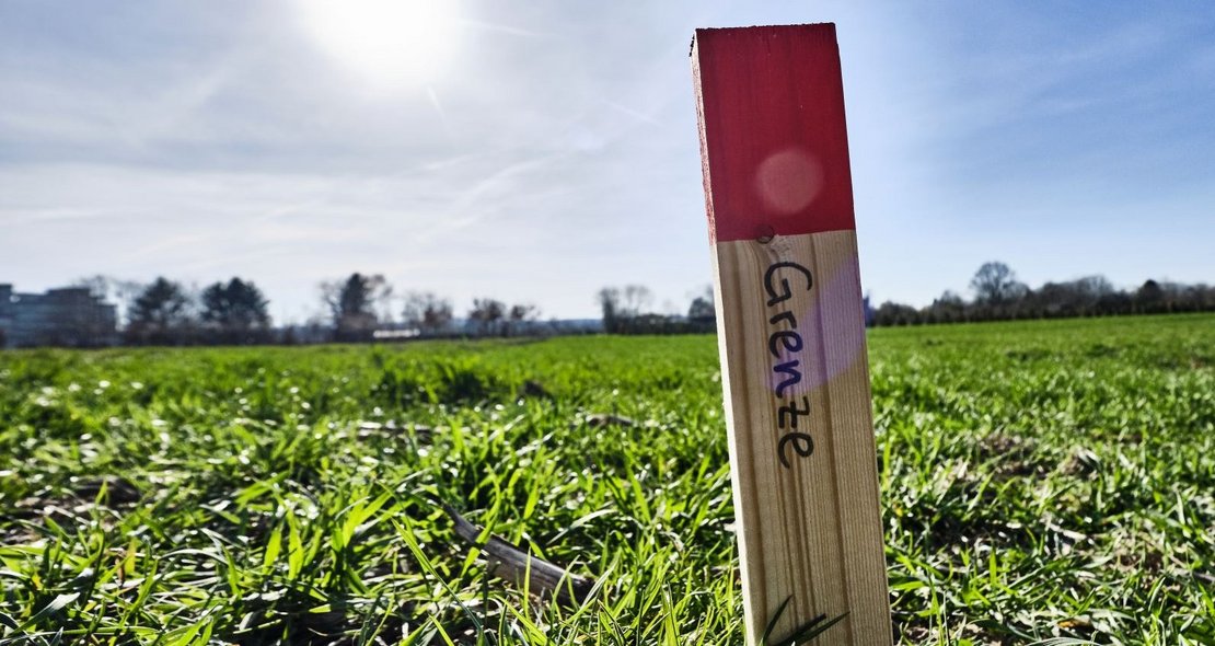 Freie Hand für neue Viren