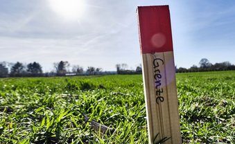 Freie Hand für neue Viren