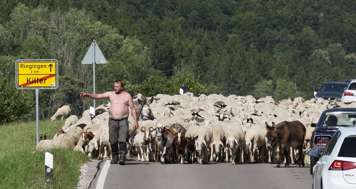 Im landschaftlich ansprechenden Killer sind die politischen Koordinaten verrutscht. Fotos: Joachim E. Röttgers