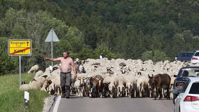 Im Aufmarschland