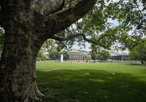 Außen hui, innen aber marode: die Oper von vorne und unterm Baum. 