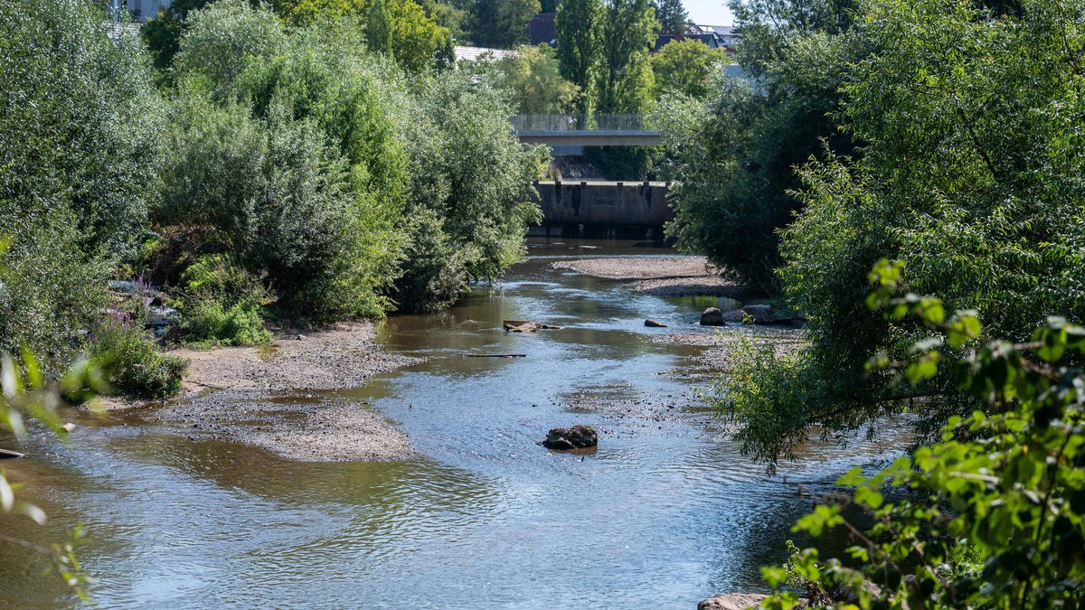 Die Rems in Waiblingen – die Sand- und Kiesbänke sind normalerweise nicht zu sehen. Foto: Jens Volle