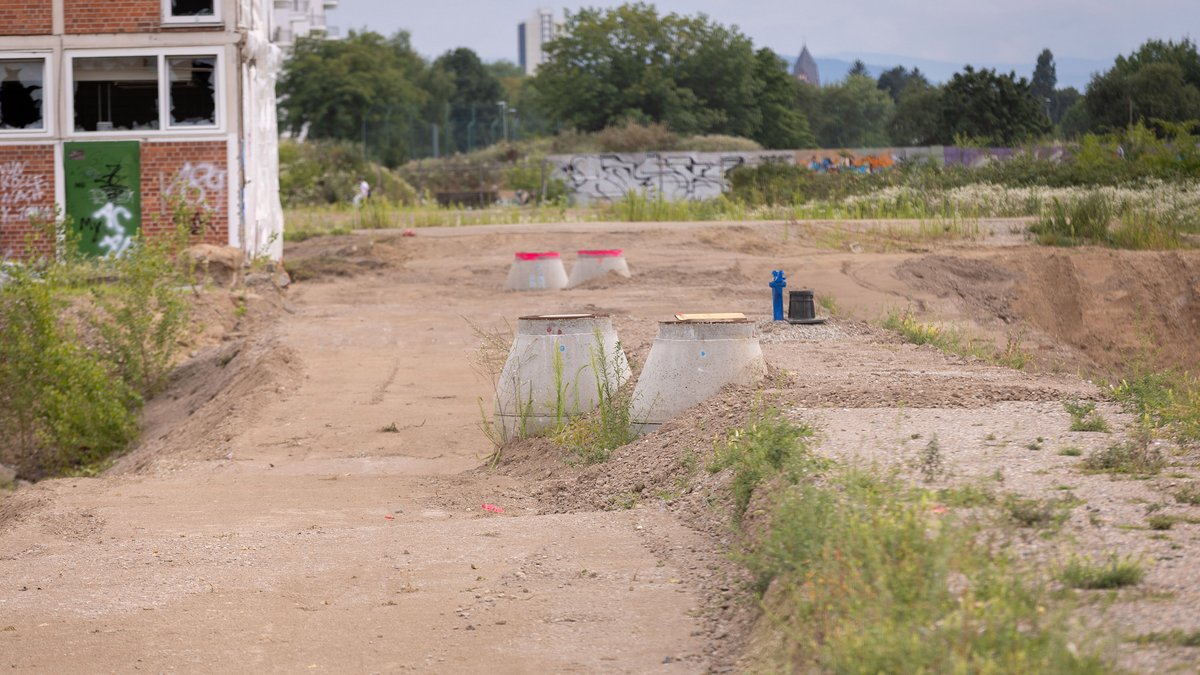 Das Karlsruher C-Areal im Juli 2025. Dort wollte Gröner 1.000 Wohnungen entstehen lassen. Foto: Julian Rettig