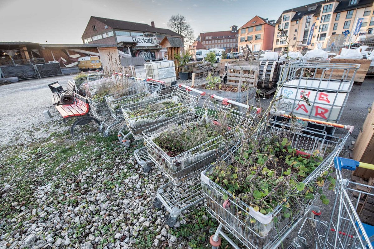 Das Inselgrün zieht um.  Das Inselgrün zieht um.