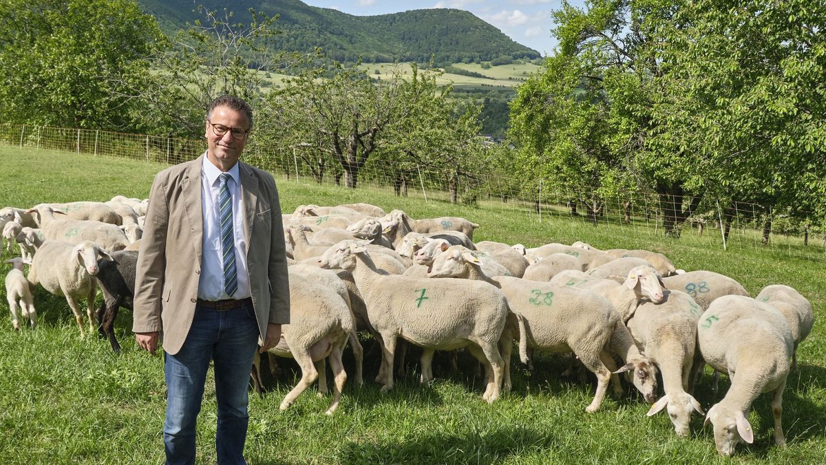 Der baden-württembergische Landwirtschaftsminister Peter Hauk (CDU) an der Basis, Mai 2020. Fotos: Joachim E. Röttgers Der baden-württembergische Landwirtschaftsminister Peter Hauk (CDU) an der Basis, Mai 2020. Fotos: Joachim E. Röttgers