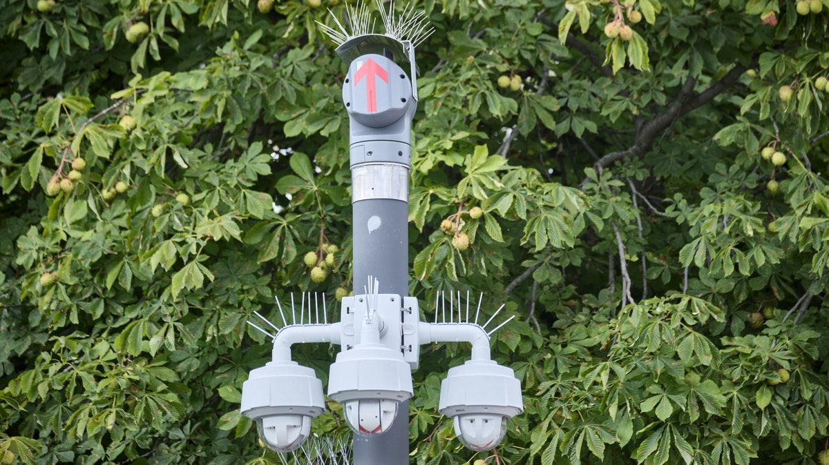 Kastanien in Stuttgart, videoüberwacht. Foto: Joachim E. Röttgers