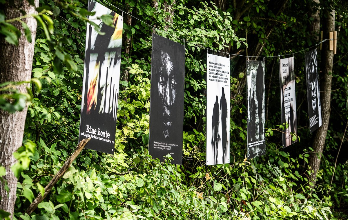 Die Bildmotive zu den Zitaten ...