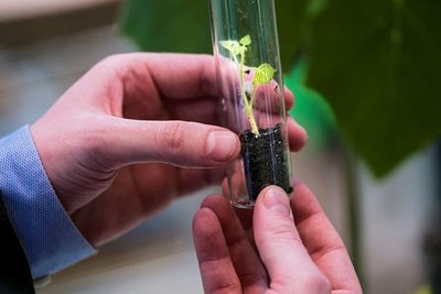 Der grüne Markenkern wird inzwischen gut versteckt.