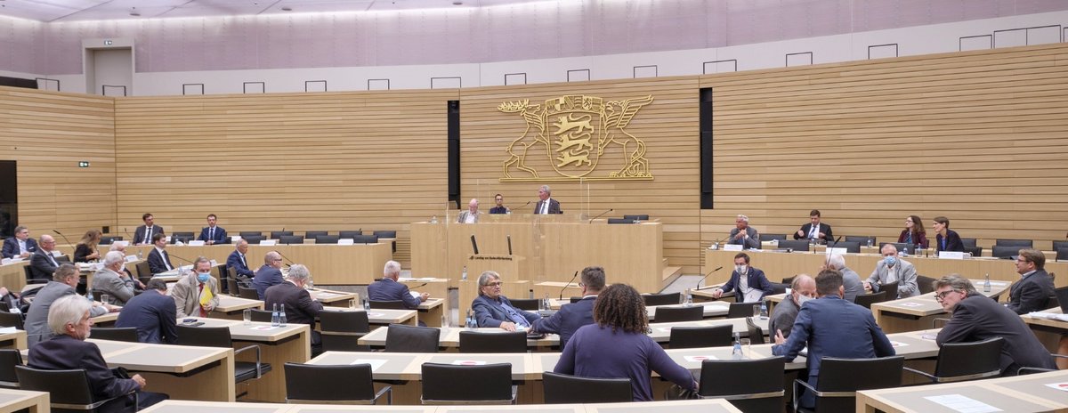Die Anhörung im Stuttgarter Landtag, 14. September 2020.
