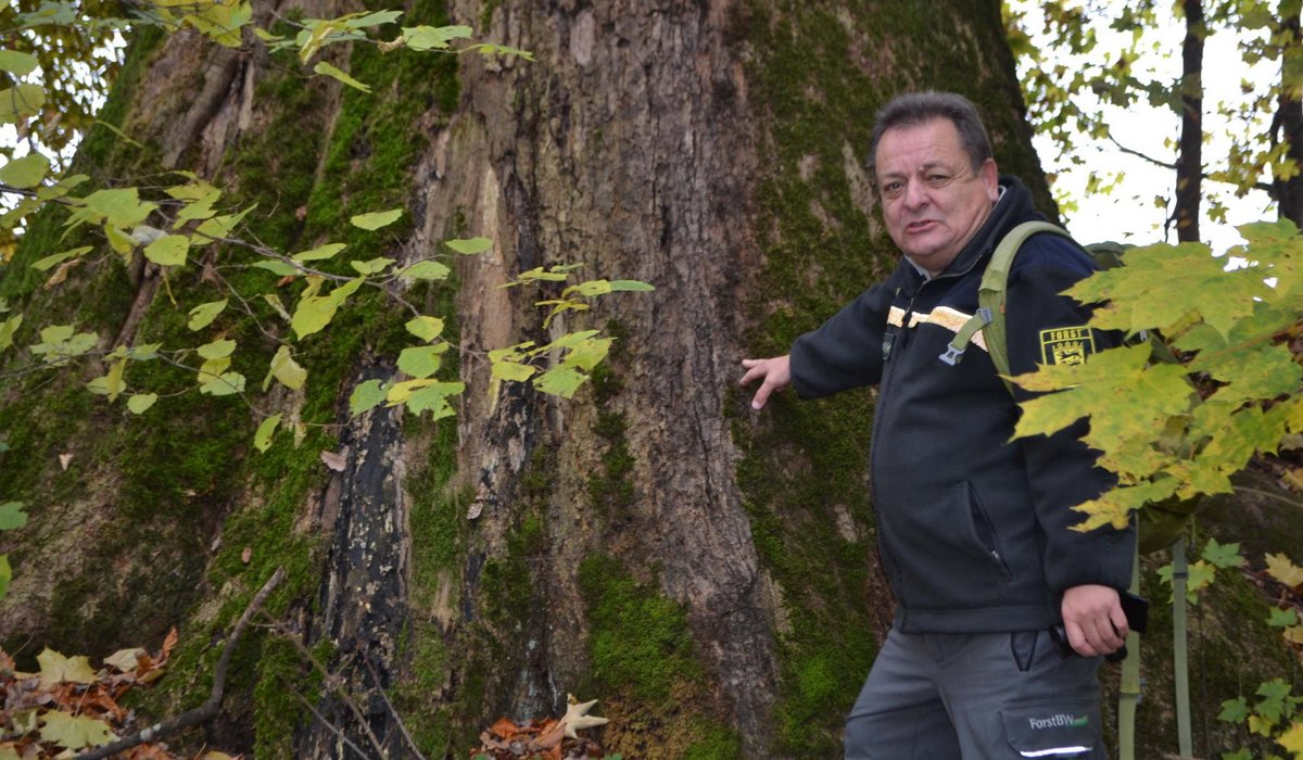 Georg Jehle am Fuße des dicksten Baums des Landkreises Biberach. Eine Jahrhunderte alte Eiche, sechs Meter Umfang. Foto: Roland Reck