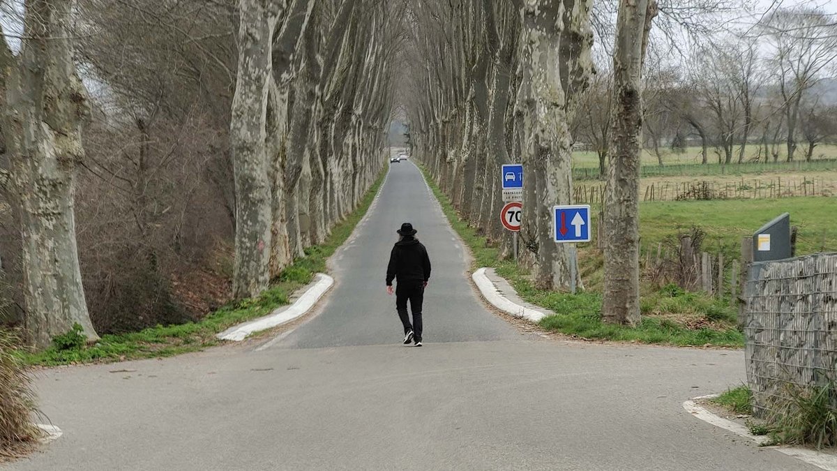Unser Kolumnist wandelt dieses Mal unter Platanen in Frankreich. Foto: privat