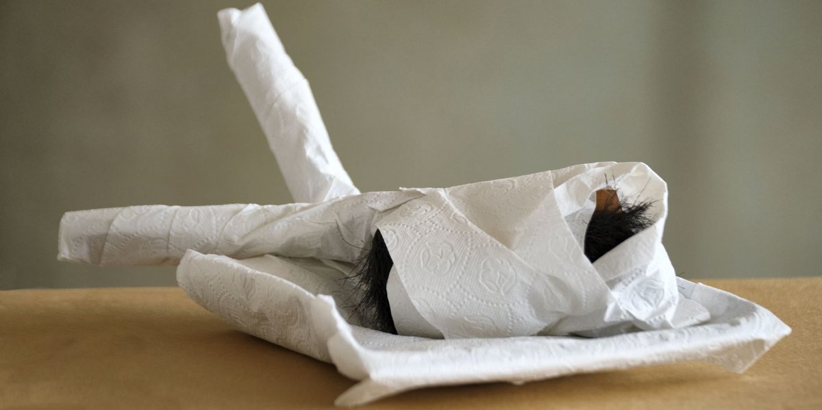 Saubere Verhüllungskunst. Foto: Joachim E. Röttgers