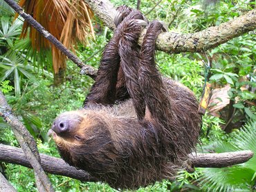 Von <a href="https://de.wikipedia.org/wiki/Benutzer:Masteraah" class="extiw" title="de:Benutzer:Masteraah">Masteraah</a>, <a href="https://creativecommons.org/licenses/by-sa/2.0/de/deed.en" title="Creative Commons Attribution-Share Alike 2.0 de">CC BY-SA 