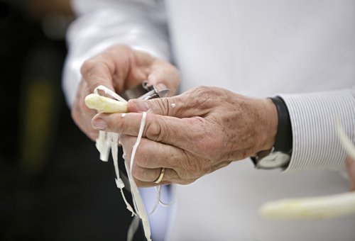 Spargel gibt es auch außerhalb der Saison – dann aber aus dem Ausland. Foto: Joachim E. Röttgers