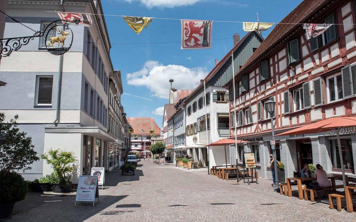 Nicht nur Störche (Bildmitte) zieht's nach Bad Saulgau. Attraktion für die Spezies Mensch ist ...