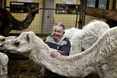 Breitling, der Forscher: Kistenweise Kamelwissen ist verbrannt. Foto: Martin Storz