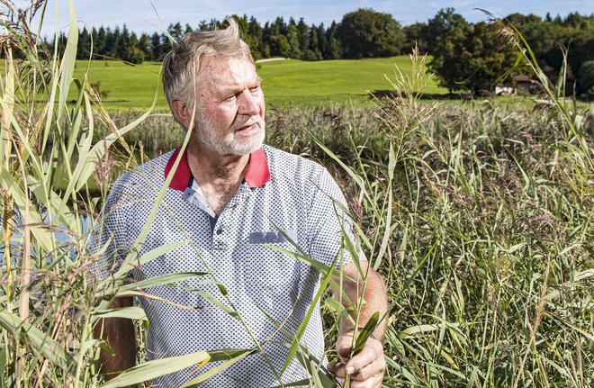 Ulrich Walz, Kopf der Grünen im Regionalverband Bodensee-Oberschwaben. Foto: Markus Leser