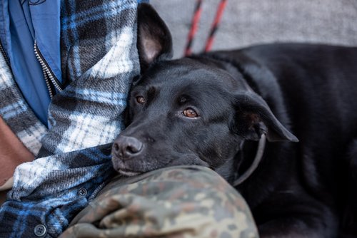 Hündin Luca kuschelt sich an seinen Besitzer Speedy, der seit 20 Jahren auf der Straße lebt.  Hündin Luca kuschelt sich an seinen Besitzer Speedy, der seit 20 Jahren auf der Straße lebt.