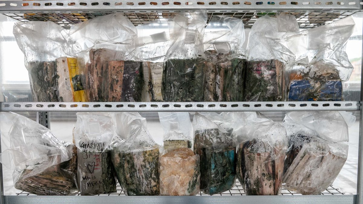 ... und lagert luftdicht.