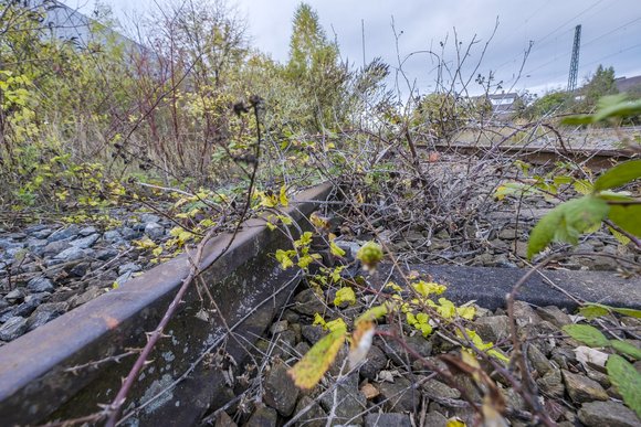 Allein 2020 wurde die Gesamtlänge aller Gleise um fast 80 Kilometer gekürzt. 