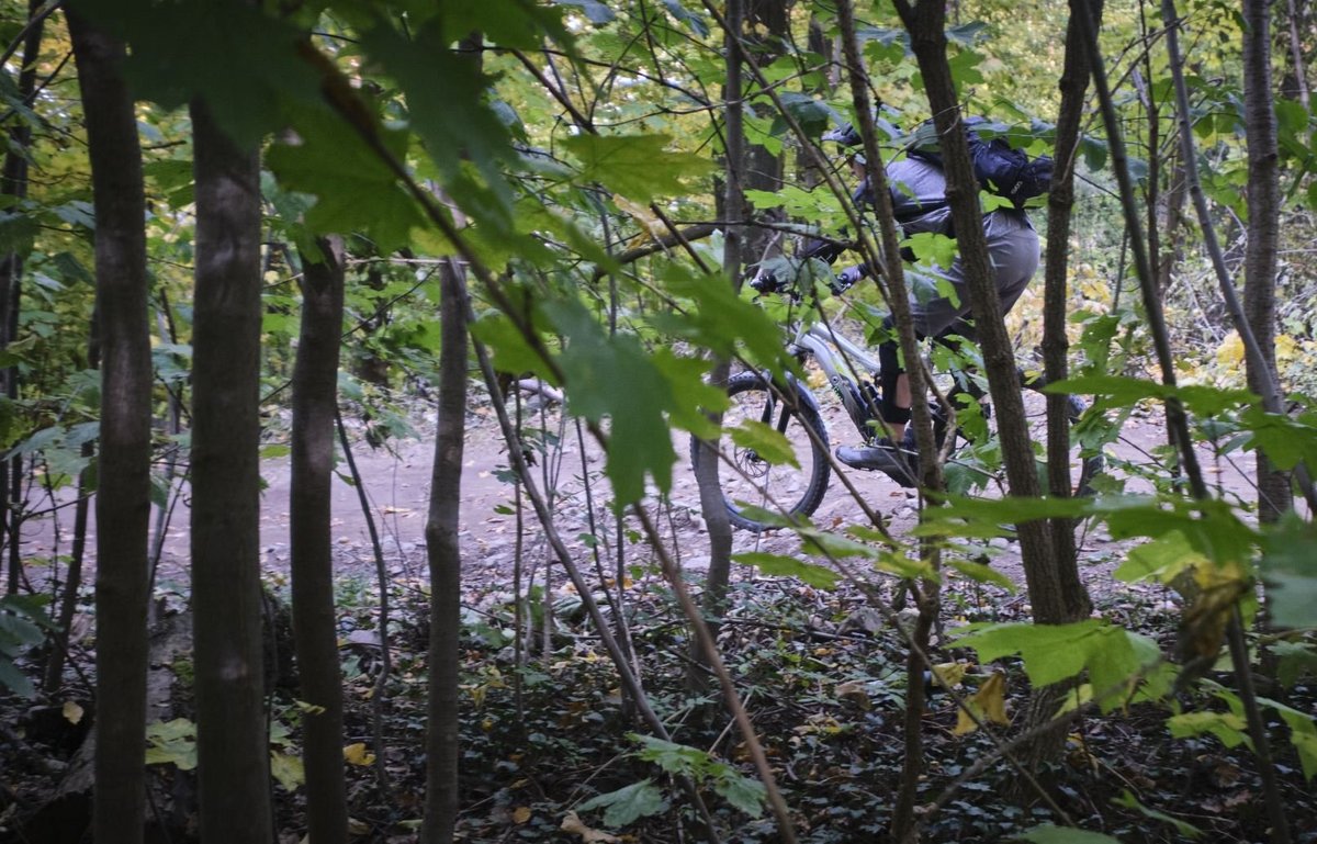 Beschwerden über MountainbikerInnen haben seit Corona zugenommen. Gerade im dichten Wald sind die Biker oft schwer zu erkennen.