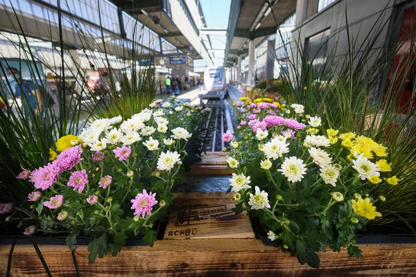 Die DB AG zeigt Sinn fürs Schöne: Dieser Tage ließ sie ihre Auszubildenden den malträtierten Kopfbahnhof aufhübschen.