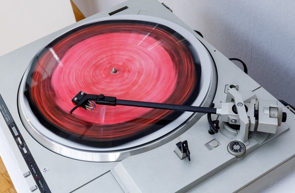 Paula Brunas rote Vinyl-Baumscheibe. Foto: Robert Pupeter