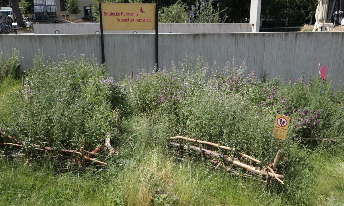 In einer anderen gibt es etwas Platz für Bienen und Schmetterlinge.