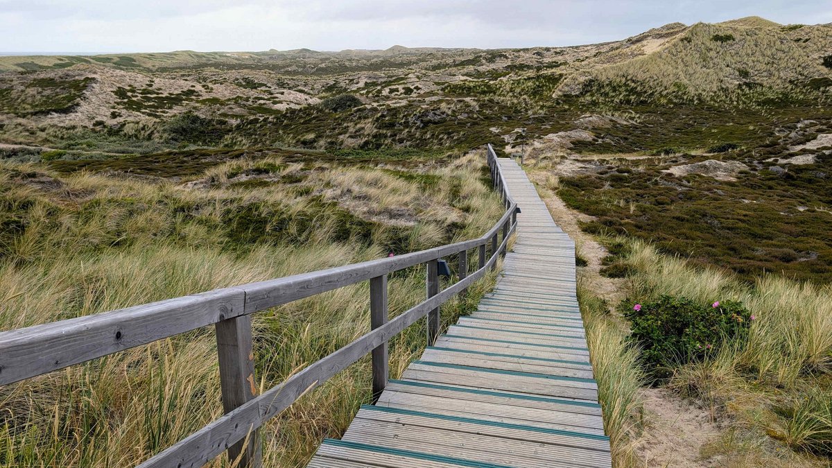 Sylt-Landschaft pur. Fotos: Jürgen Brand