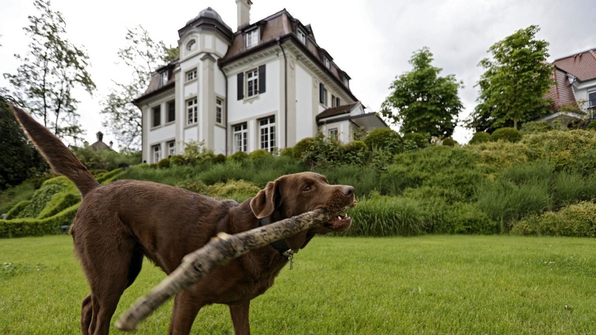 Wie ein Hund leben? Schön wär's! Foto: Joachim E. Röttgers Wie ein Hund leben? Schön wär's! Foto: Joachim E. Röttgers