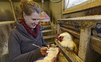 Die Gockelretterin