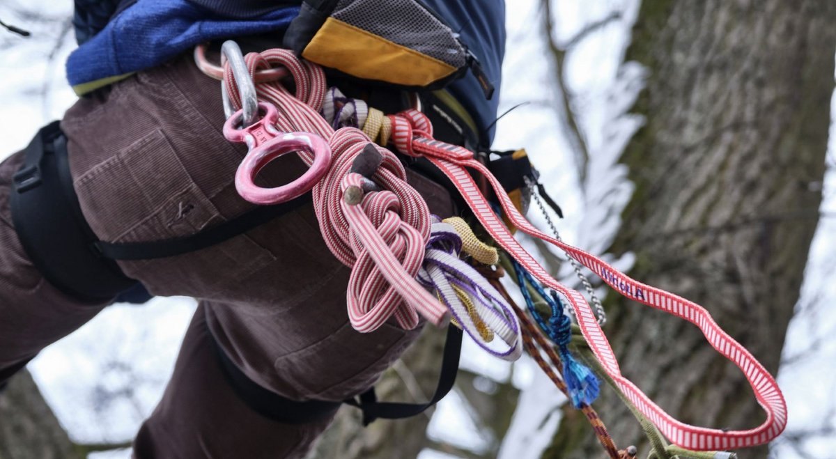 Die Baumbesetzer bieten auch Kletterkurse an, mit dem nötigen Equipment.