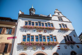 Zu den Betroffenen gehört auch der BM selbst: Riss durch das Staufener Rathaus. Foto: Jens Volle