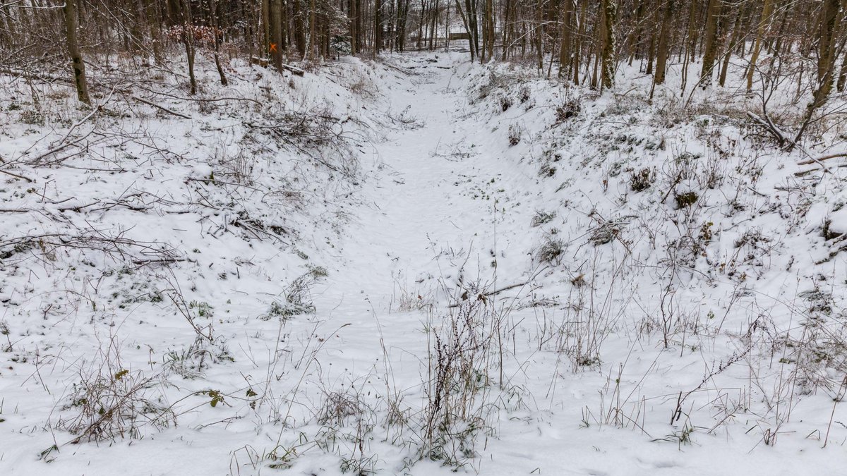 Am Rande der Schlotwiese findet man noch heute Reste der Spliterschutzgräben, die die Zwangsarbeiter:innen selbst zum Schutz gegen Bombenangriffe aushoben – in Bunker durften sie nicht. Die Gräben gehören zu den letzten sichtbaren Spuren der Zwangsarbeit in Stuttgart.