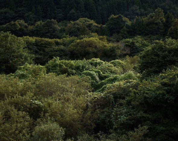 Difficult-to-Return-Zone, Fukushima, Japan, 2025. Foto: Marcel Rickli
