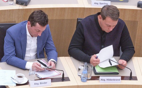 Die Obleute von SPD, Sascha Binder, und Grünen, Oliver Hildenbrand, hinterfragen Hönes' Bericht. Die Obleute von SPD, Sascha Binder, und Grünen, Oliver Hildenbrand, hinterfragen Hönes' Bericht.